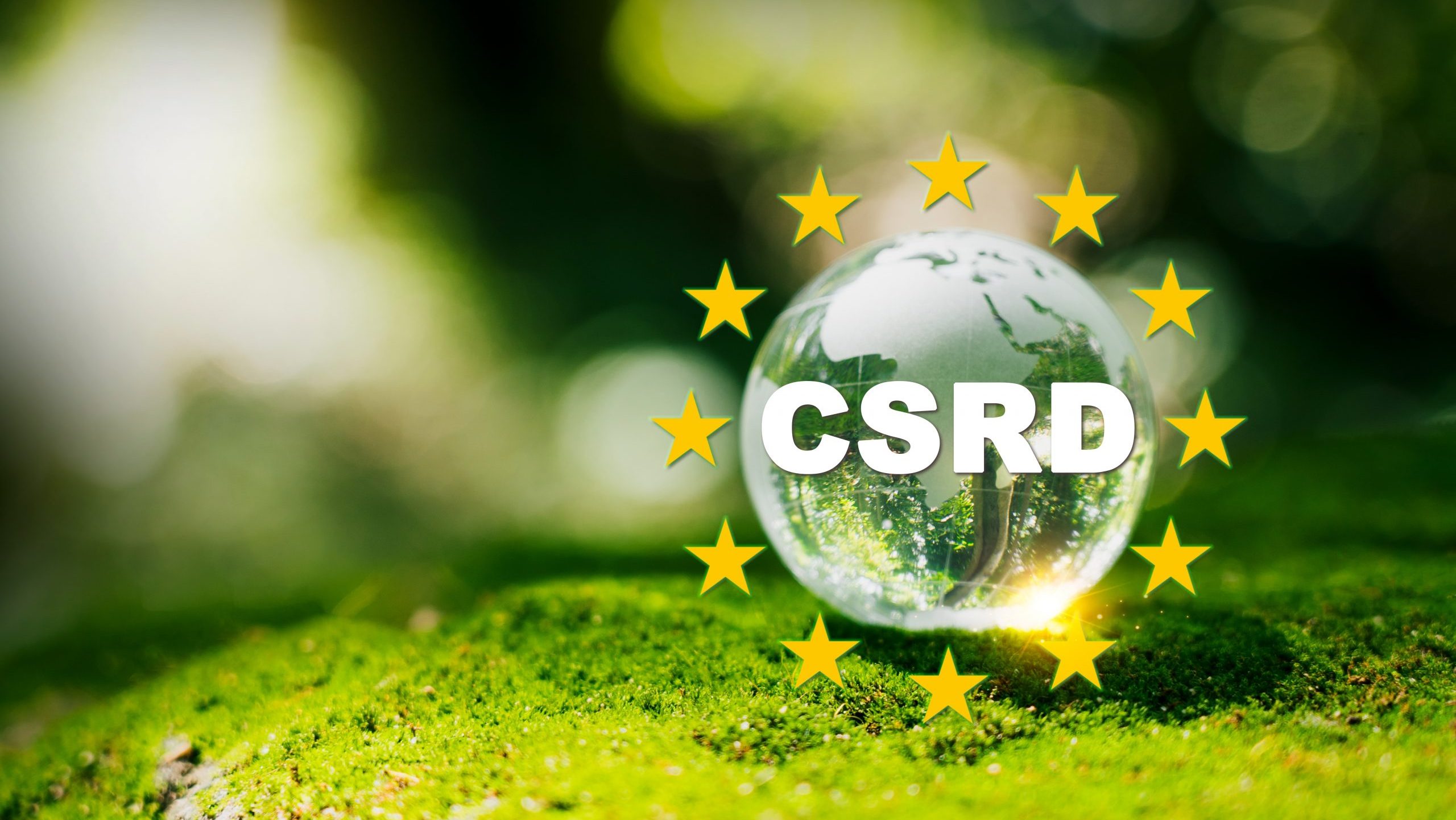 Friedrichs & Partner Nachhaltigkeitsberichterstattung (CSRD) 2024